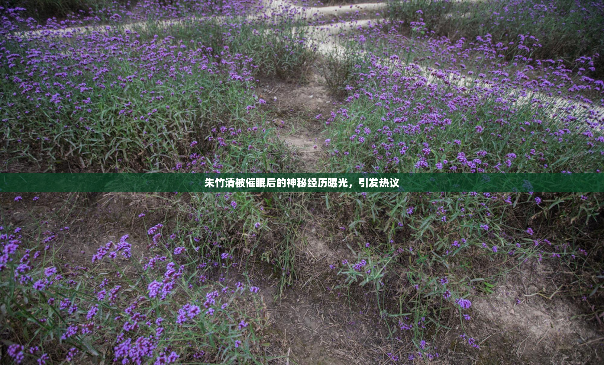 朱竹清被催眠后的神秘经历曝光，引发热议