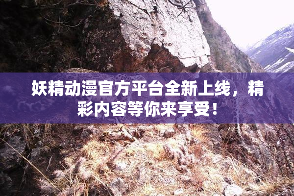 妖精动漫官方平台全新上线，精彩内容等你来享受！