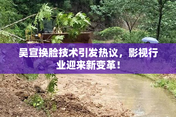 吴宣换脸技术引发热议，影视行业迎来新变革！