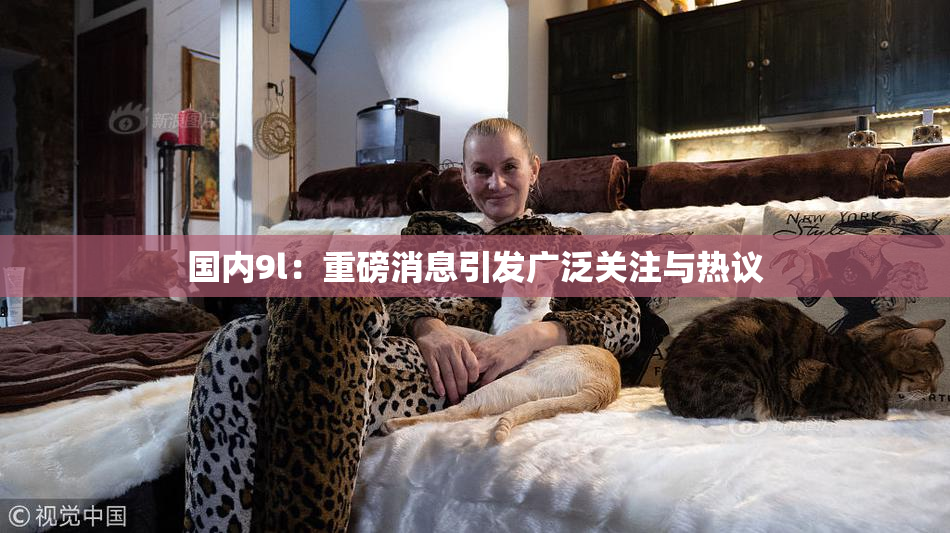 国内9l：重磅消息引发广泛关注与热议