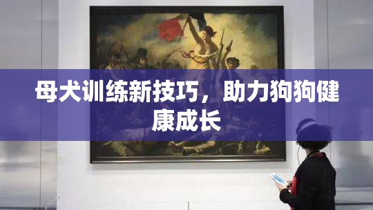 母犬训练新技巧，助力狗狗健康成长