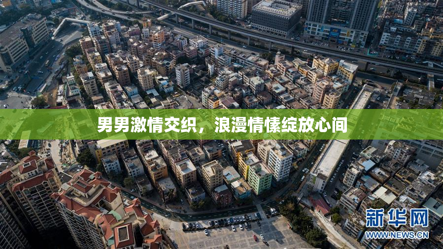 男男激情交织，浪漫情愫绽放心间