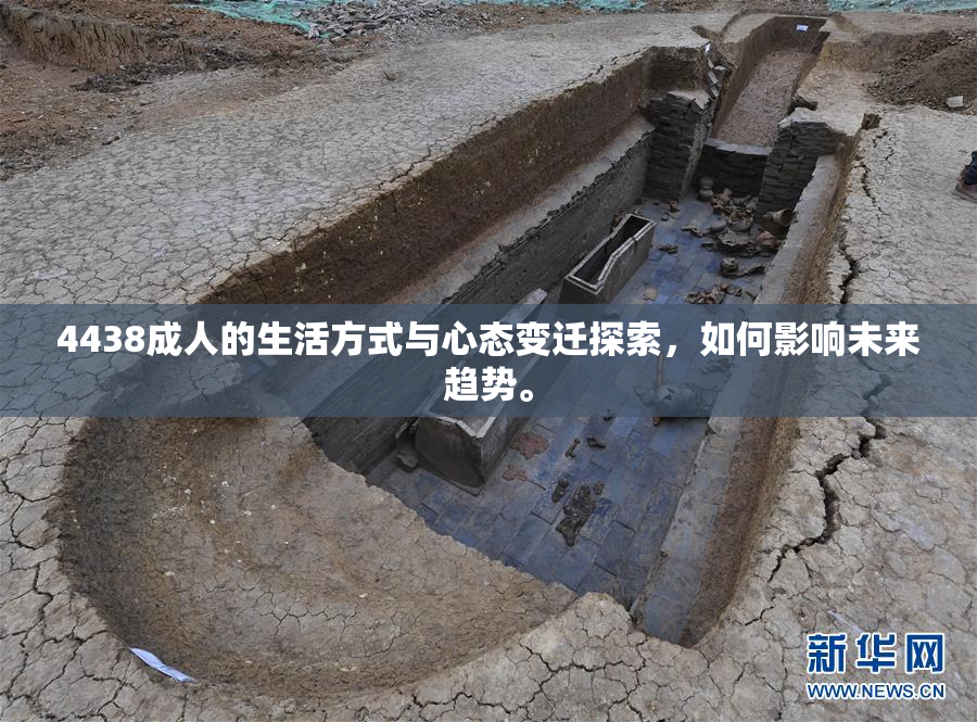 4438成人的生活方式与心态变迁探索，如何影响未来趋势。
