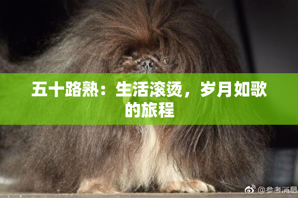 五十路熟：生活滚烫，岁月如歌的旅程