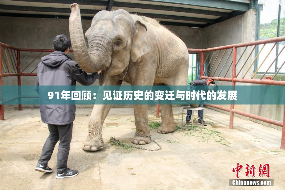 91年回顾：见证历史的变迁与时代的发展