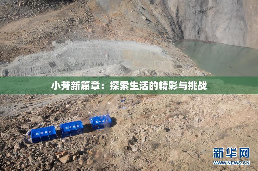 小芳新篇章：探索生活的精彩与挑战