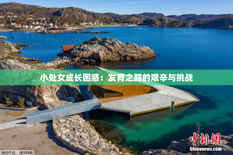 小处女成长困惑：发育之路的艰辛与挑战