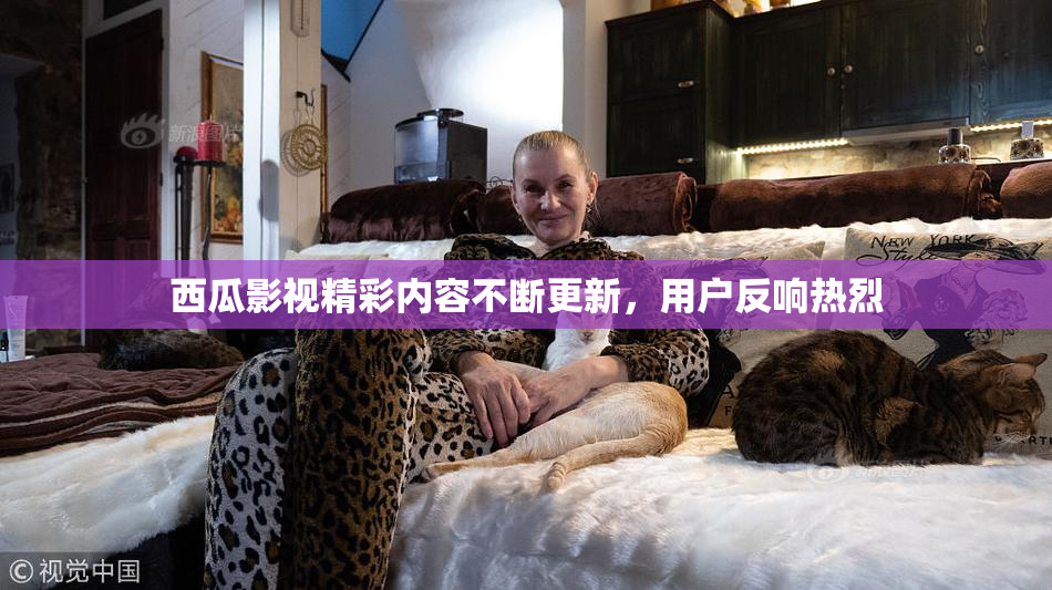 西瓜影视精彩内容不断更新，用户反响热烈