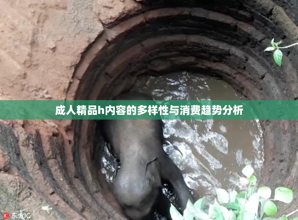 成人精品h内容的多样性与消费趋势分析