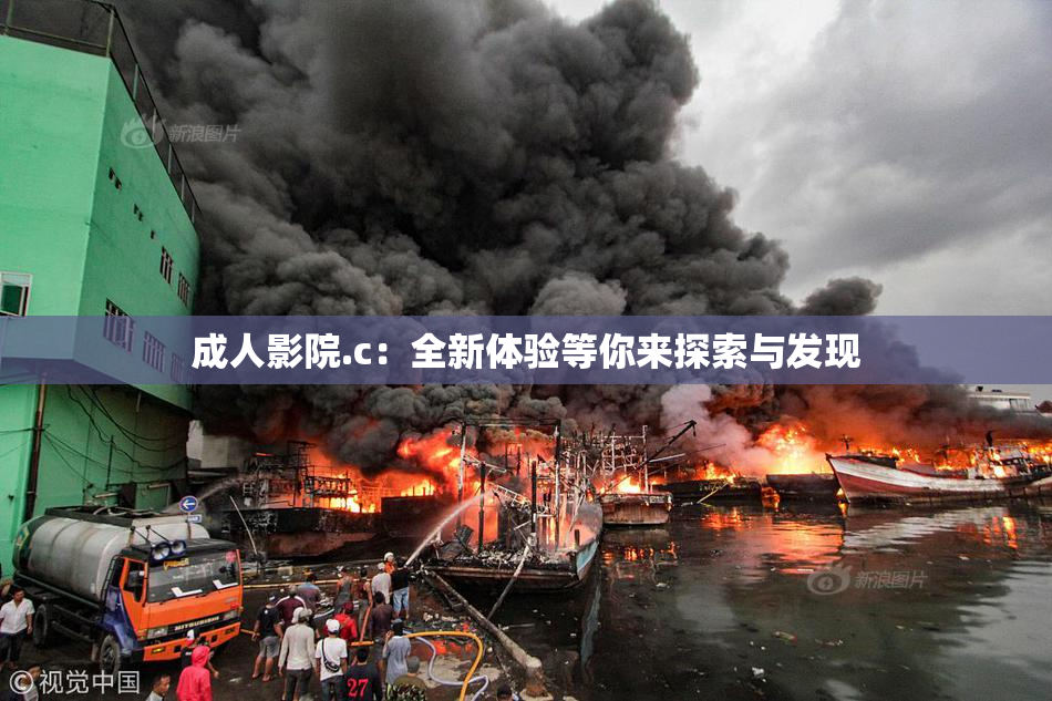 成人影院.c：全新体验等你来探索与发现
