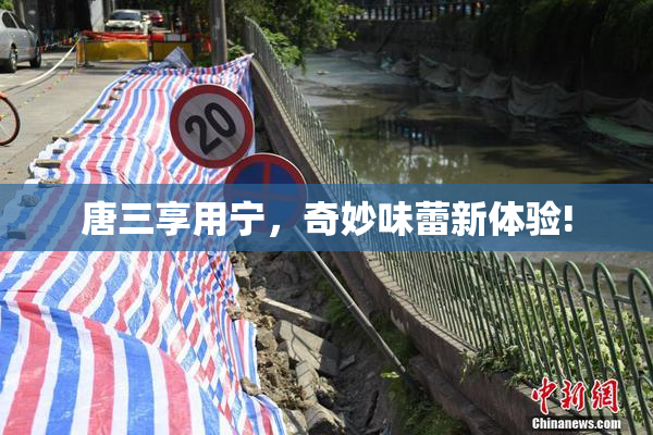 唐三享用宁，奇妙味蕾新体验!