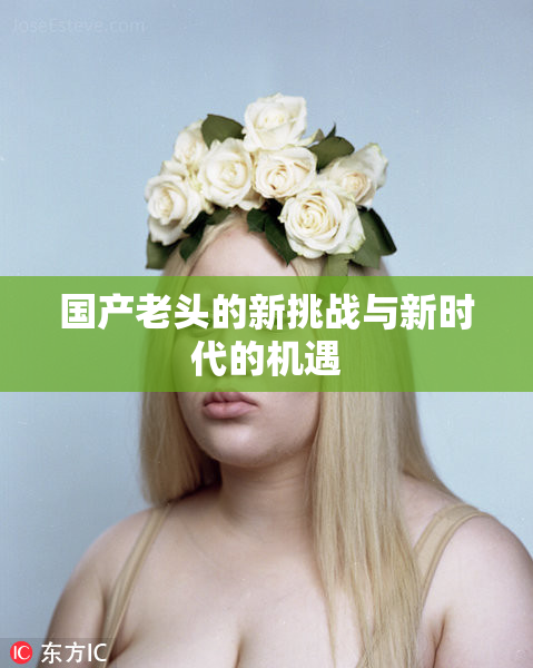 国产老头的新挑战与新时代的机遇
