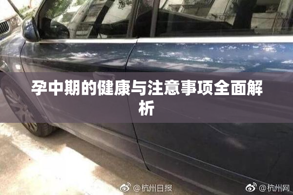 孕中期的健康与注意事项全面解析