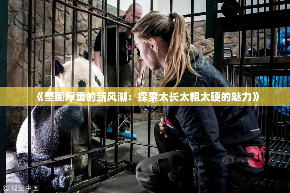 《坚固厚重的新风潮：探索太长太粗太硬的魅力》