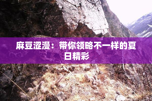 麻豆涩漫：带你领略不一样的夏日精彩