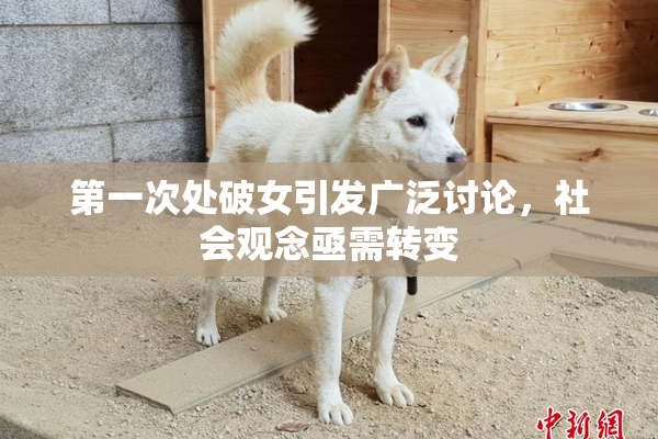 第一次处破女引发广泛讨论，社会观念亟需转变