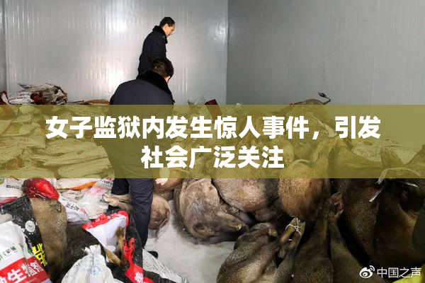 女子监狱内发生惊人事件，引发社会广泛关注