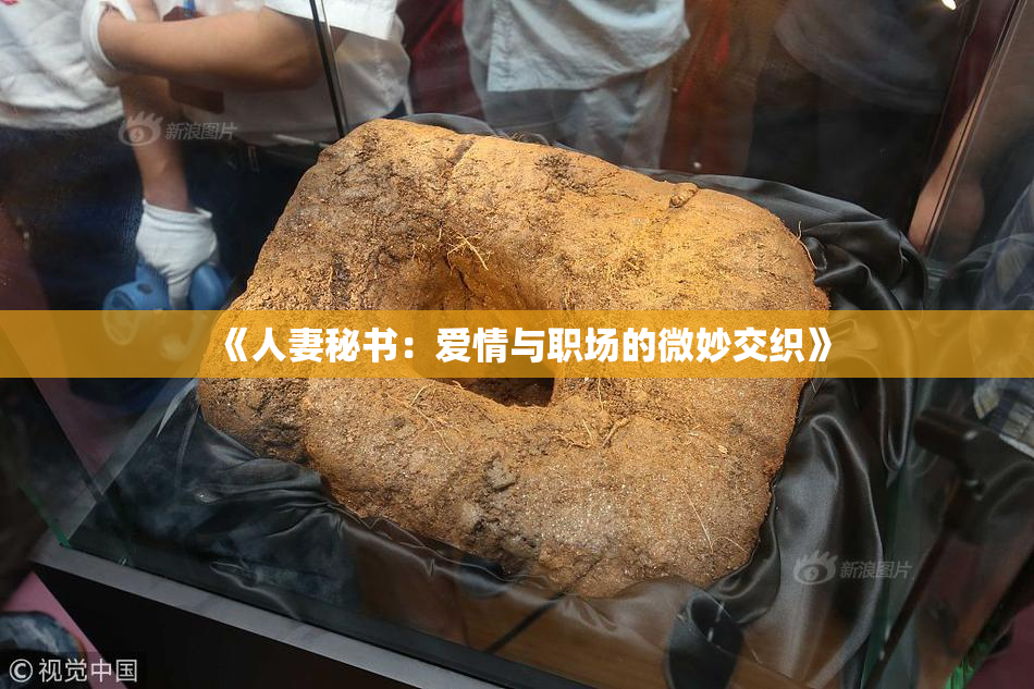 《人妻秘书：爱情与职场的微妙交织》