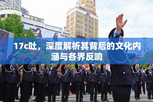 17c吐，深度解析其背后的文化内涵与各界反响
