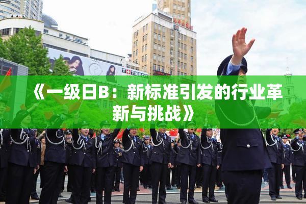《一级日B：新标准引发的行业革新与挑战》