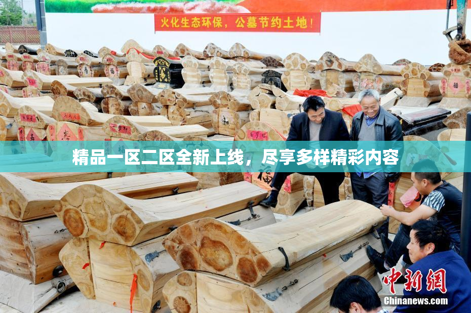 精品一区二区全新上线，尽享多样精彩内容