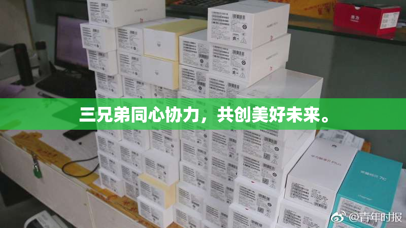 三兄弟同心协力，共创美好未来。