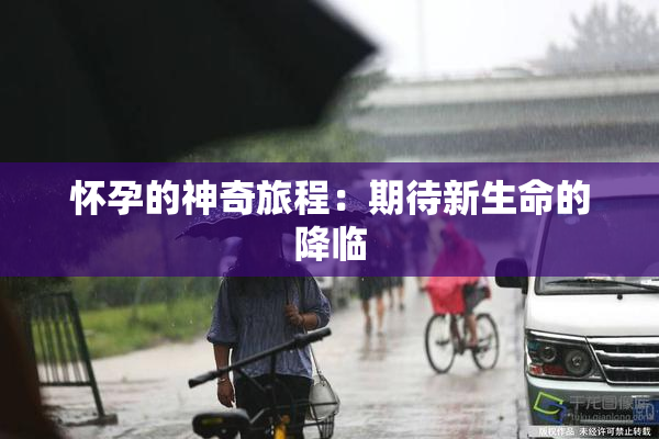 怀孕的神奇旅程：期待新生命的降临