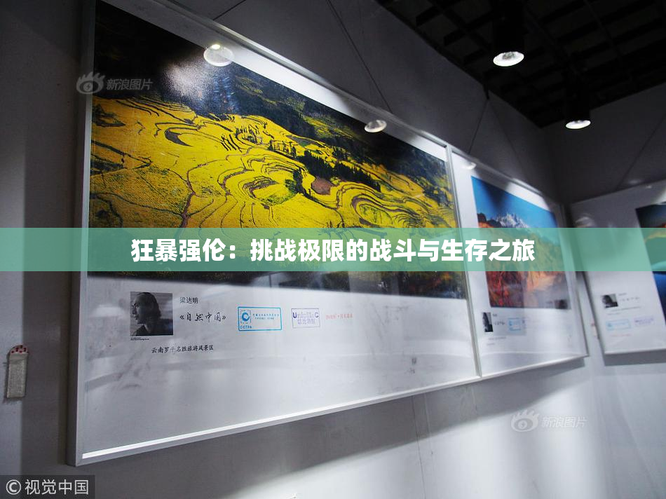 狂暴强伦：挑战极限的战斗与生存之旅