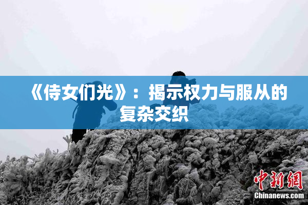 《侍女们光》：揭示权力与服从的复杂交织