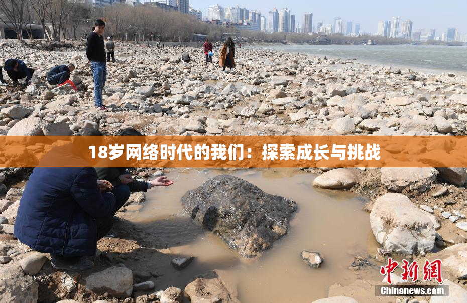 18岁网络时代的我们：探索成长与挑战