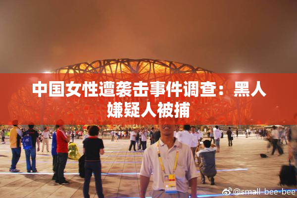 中国女性遭袭击事件调查：黑人嫌疑人被捕