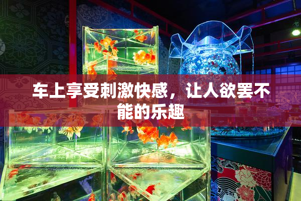 车上享受刺激快感，让人欲罢不能的乐趣