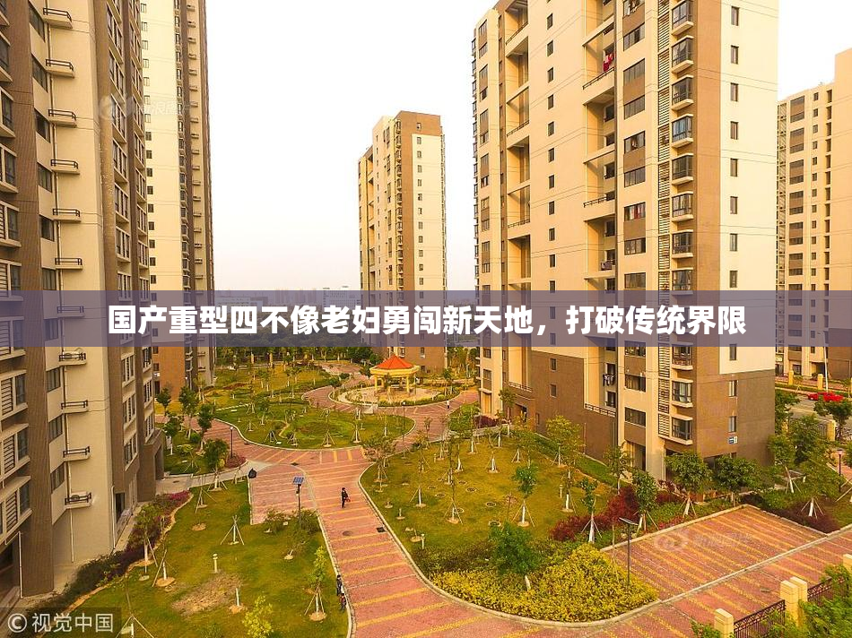国产重型四不像老妇勇闯新天地，打破传统界限