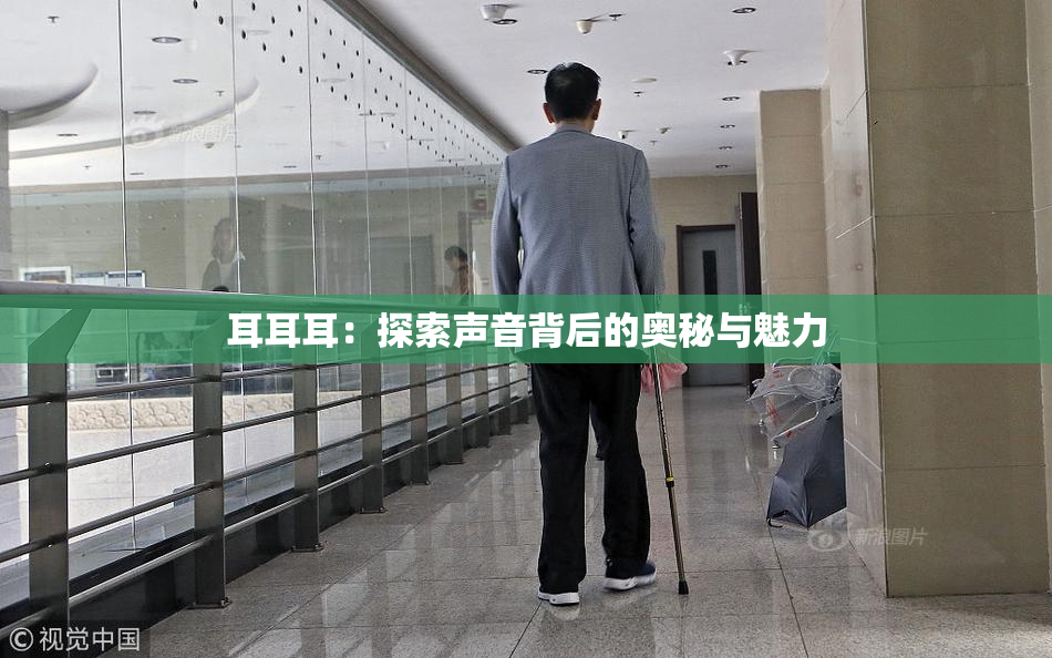 耳耳耳：探索声音背后的奥秘与魅力