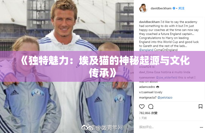 《独特魅力：埃及猫的神秘起源与文化传承》
