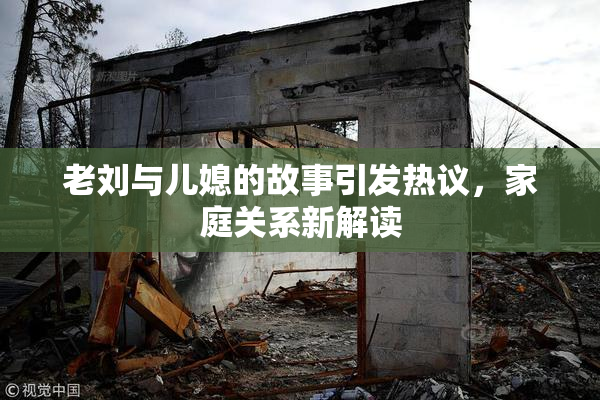 老刘与儿媳的故事引发热议，家庭关系新解读
