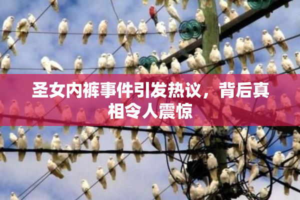 圣女内裤事件引发热议，背后真相令人震惊