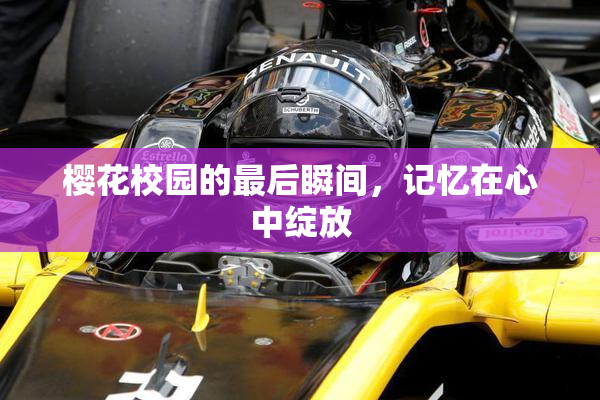樱花校园的最后瞬间，记忆在心中绽放