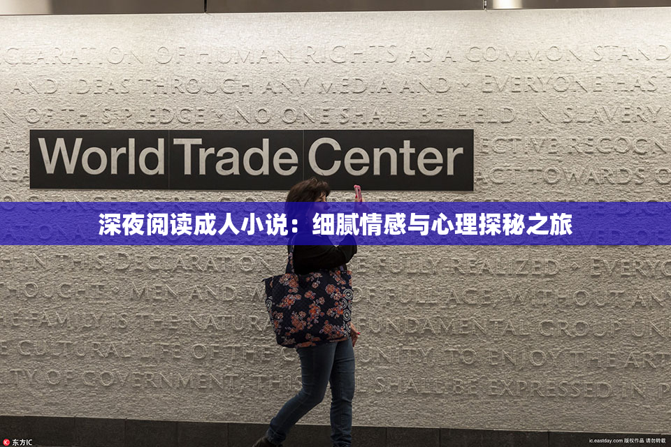 深夜阅读成人小说：细腻情感与心理探秘之旅