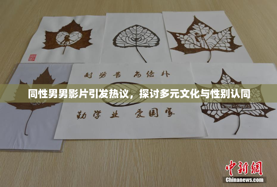 同性男男影片引发热议，探讨多元文化与性别认同