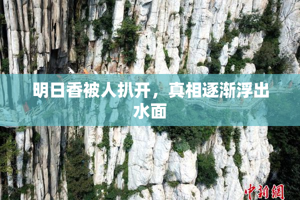 明日香被人扒开，真相逐渐浮出水面