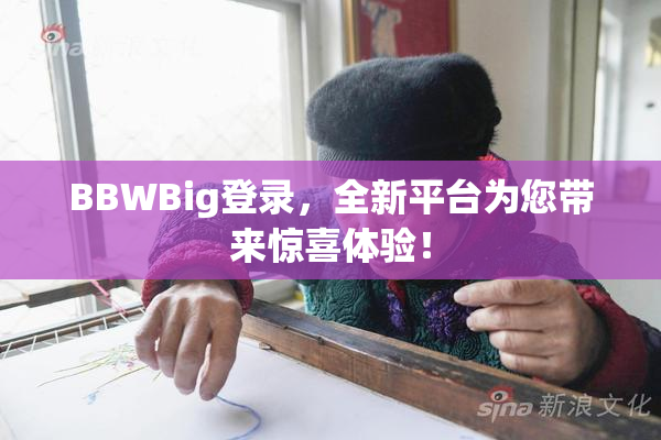 BBWBig登录，全新平台为您带来惊喜体验！