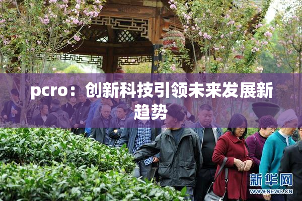 pcro：创新科技引领未来发展新趋势