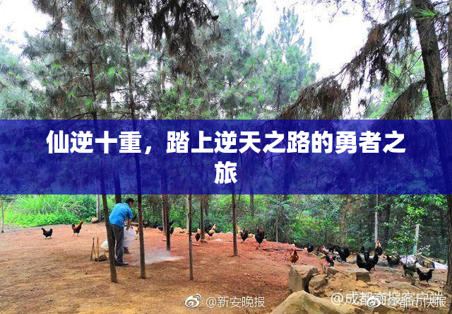 仙逆十重，踏上逆天之路的勇者之旅