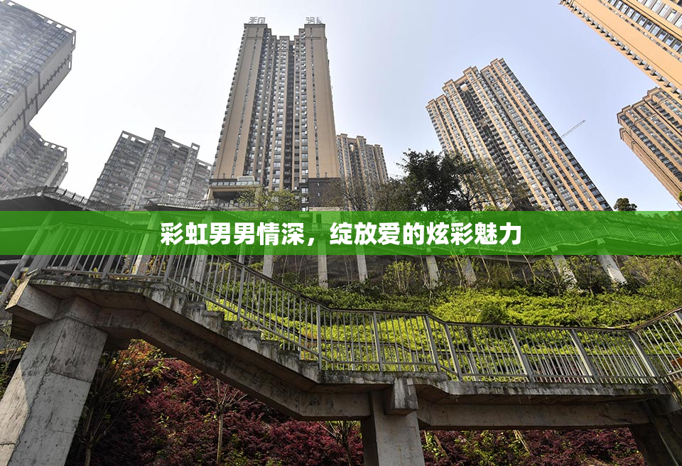 彩虹男男情深，绽放爱的炫彩魅力