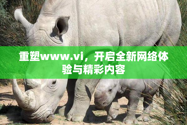 重塑www.vi，开启全新网络体验与精彩内容