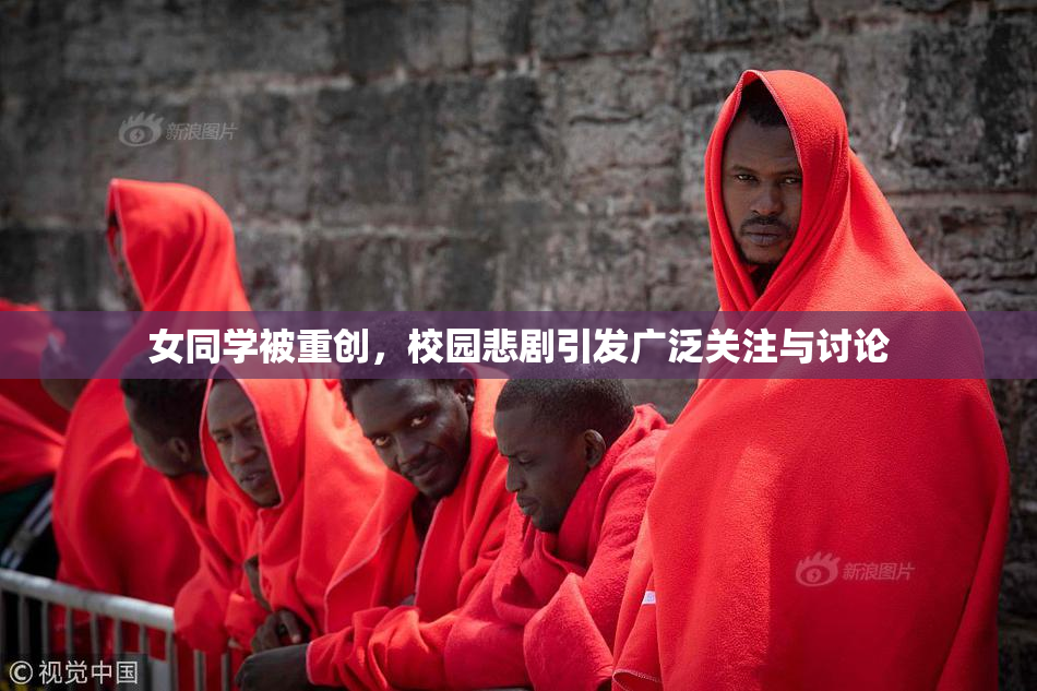 女同学被重创，校园悲剧引发广泛关注与讨论