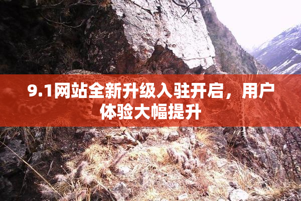 9.1网站全新升级入驻开启，用户体验大幅提升