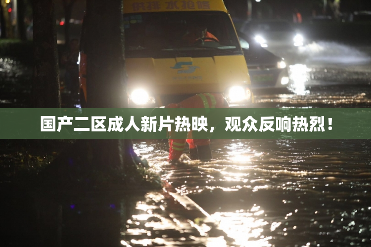 国产二区成人新片热映，观众反响热烈！