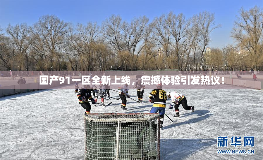 国产91一区全新上线，震撼体验引发热议！
